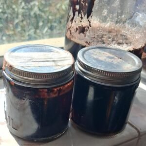 Ayahuasca Vine mature Byron Bay