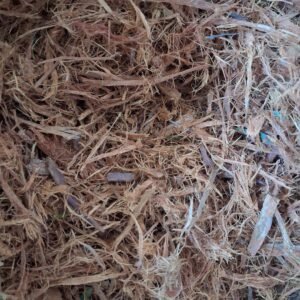 Acacia Acuminata  Root Bark